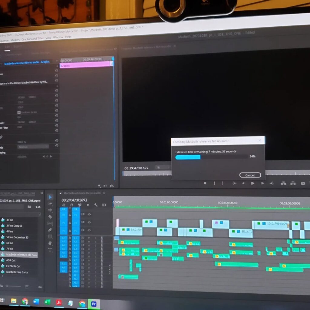 A screen capture of a Premiere Pro timeline